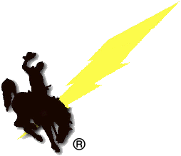 [Company Logo Image]
